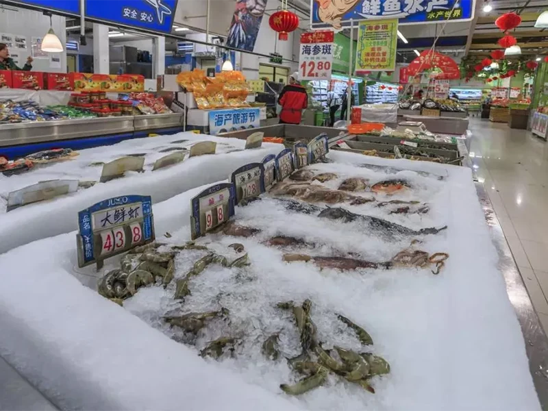 Corrugated Display Box